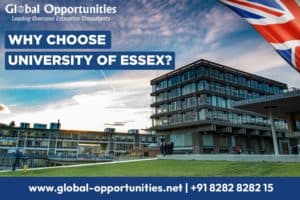 Why Choose University of Essex? Top Reasons