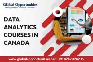 Data Analytics Courses in Canada for Overseas Education