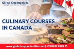 Culinary Courses in Canada – Universities and Benefits